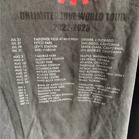 Red Hot Chili Peppers Gray Graphic T-Shirt - Picture 6 of 6